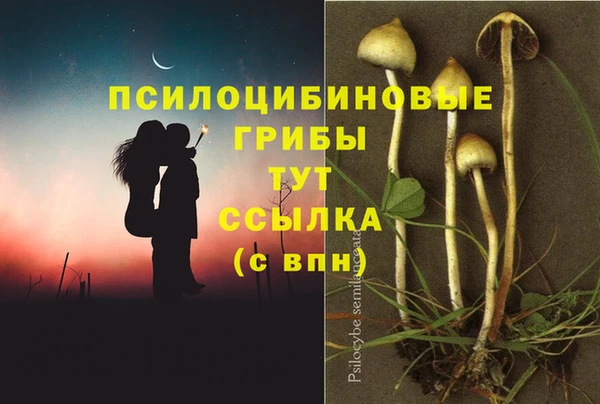 кокаин Горнозаводск