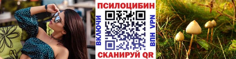 Галлюциногенные грибы Psilocybe  Купить закладки  Богородицк 